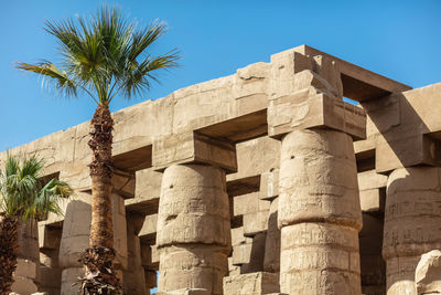 Different columns with hieroglyphs in karnak temple.