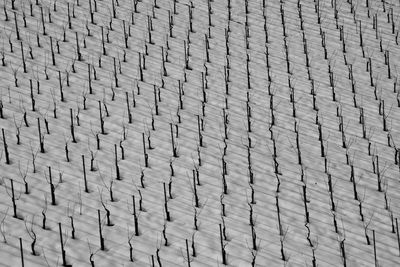 Full frame shot of tiled floor