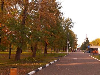 Empty road along trees during autumn