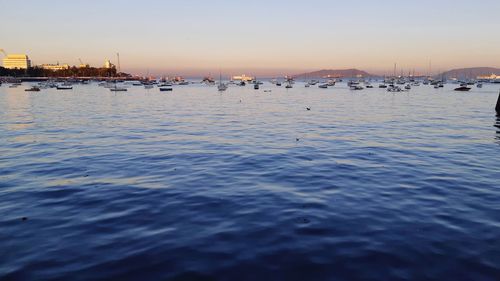 Sailboats in sea against sky during sunset