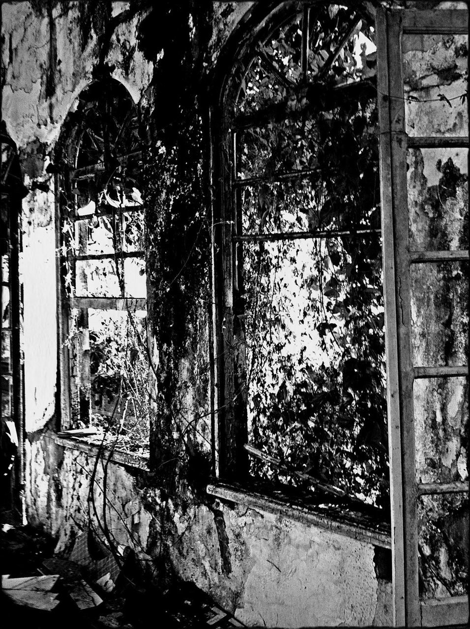 architecture, built structure, window, old, abandoned, door, tree, building exterior, wall - building feature, closed, house, weathered, indoors, damaged, obsolete, entrance, deterioration, run-down, wall, day