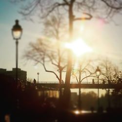 Illuminated street light and bare trees against sky