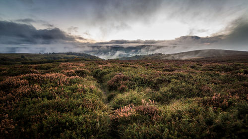 Scenic view of landscape against sky