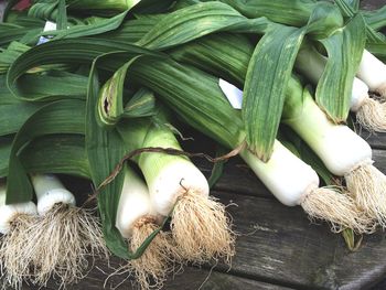 Close-up of vegetables