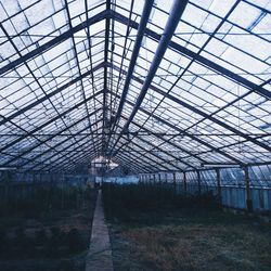 Interior of greenhouse