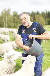 Senior farmer working on pasture, smaland, sweden