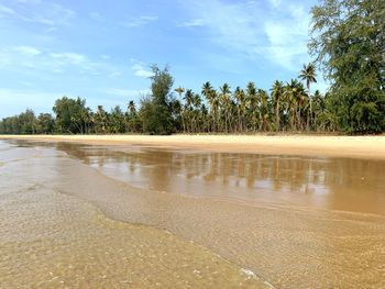 Scenic view of beach against sky