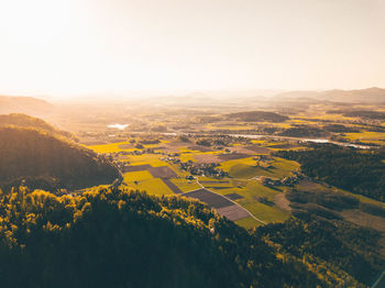 Scenic view of agricultural landscape against sky