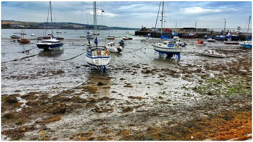 Boats in harbor