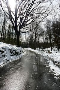 Bare trees on road against sky during winter