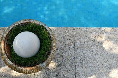 High angle view of food in swimming pool against wall