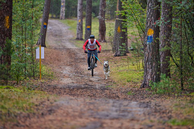 Man riding bicycle on footpath in forest