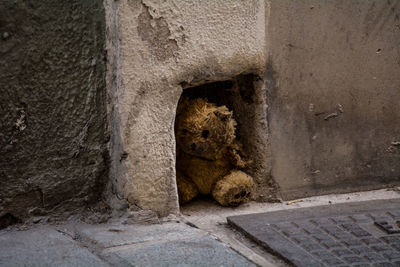 View of a stuffed toy