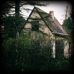 Abandoned house on field against sky