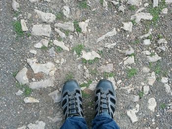 Low section of man standing on ground