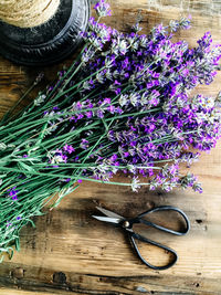 Close-up of purple flowers