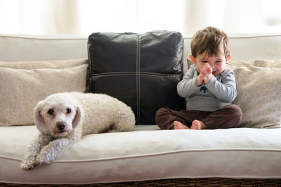 Happy boy sitting by puppy on sofa at home