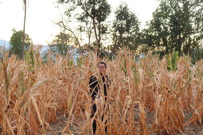 Close-up of crops on field against sky