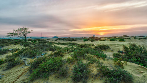 Scenic view of dramatic sky during sunset