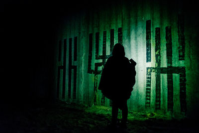 Rear view of silhouette man standing at night