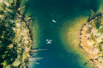 High angle view of people swimming in sea