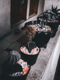 High angle view of flower pot on potted plant