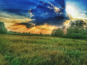 Scenic view of grassy field against cloudy sky