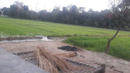 Scenic view of land against sky