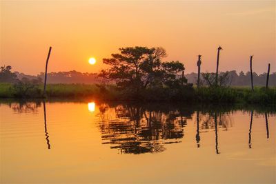 Reflection of trees in water at sunset