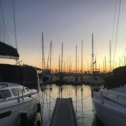 Boats in harbor