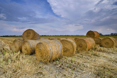 Scenic view of hay bales on field against sky