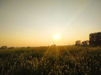 Scenic view of field against sky during sunset