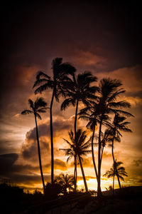 Silhouette palm trees against sky during sunset