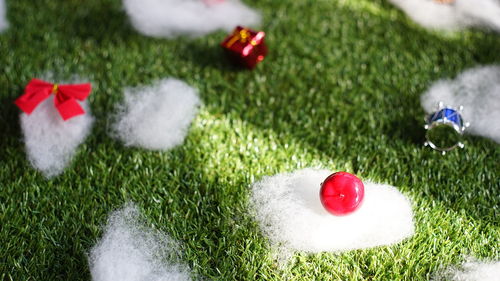 Close-up of christmas decoration on grass