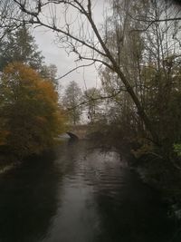 River amidst trees in forest against sky