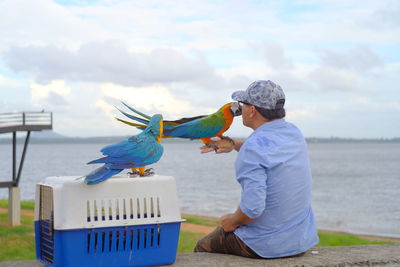 Rear view of man carrying bird in water against sky