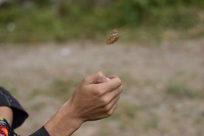 Close-up of cropped hand