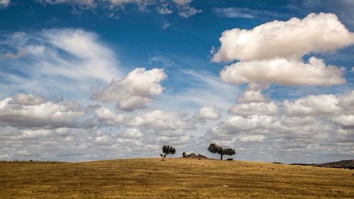 Scenic view of field against cloudy sky