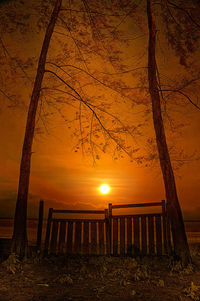 Silhouette trees against orange sky during sunset