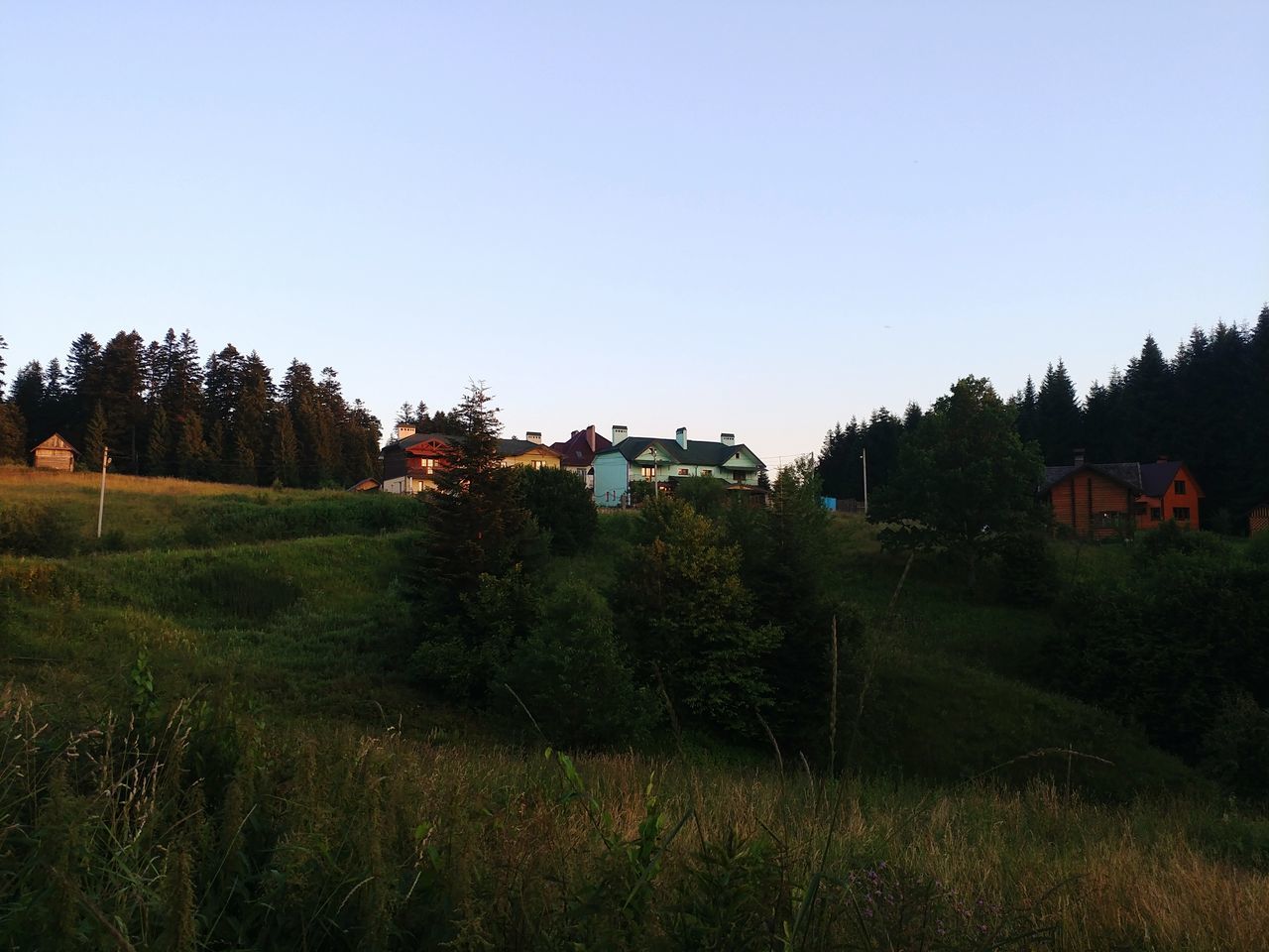 plant, tree, sky, clear sky, land, nature, field, copy space, mode of transportation, transportation, landscape, no people, architecture, grass, built structure, growth, environment, building exterior, day, land vehicle, outdoors