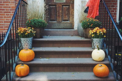 Potted plants and pumpkins on staircase outside house