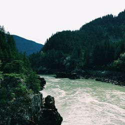 Scenic view of river amidst trees against clear sky