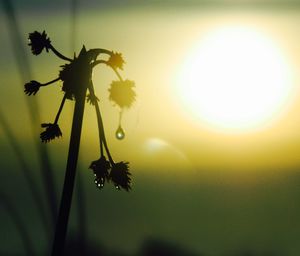 Sun shining through clouds