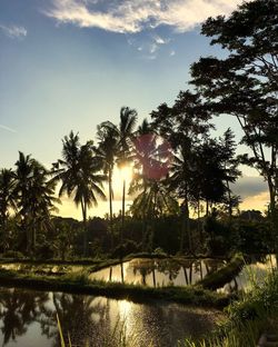 Scenic view of river against sky at sunset