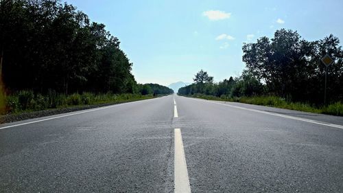 Empty road along trees