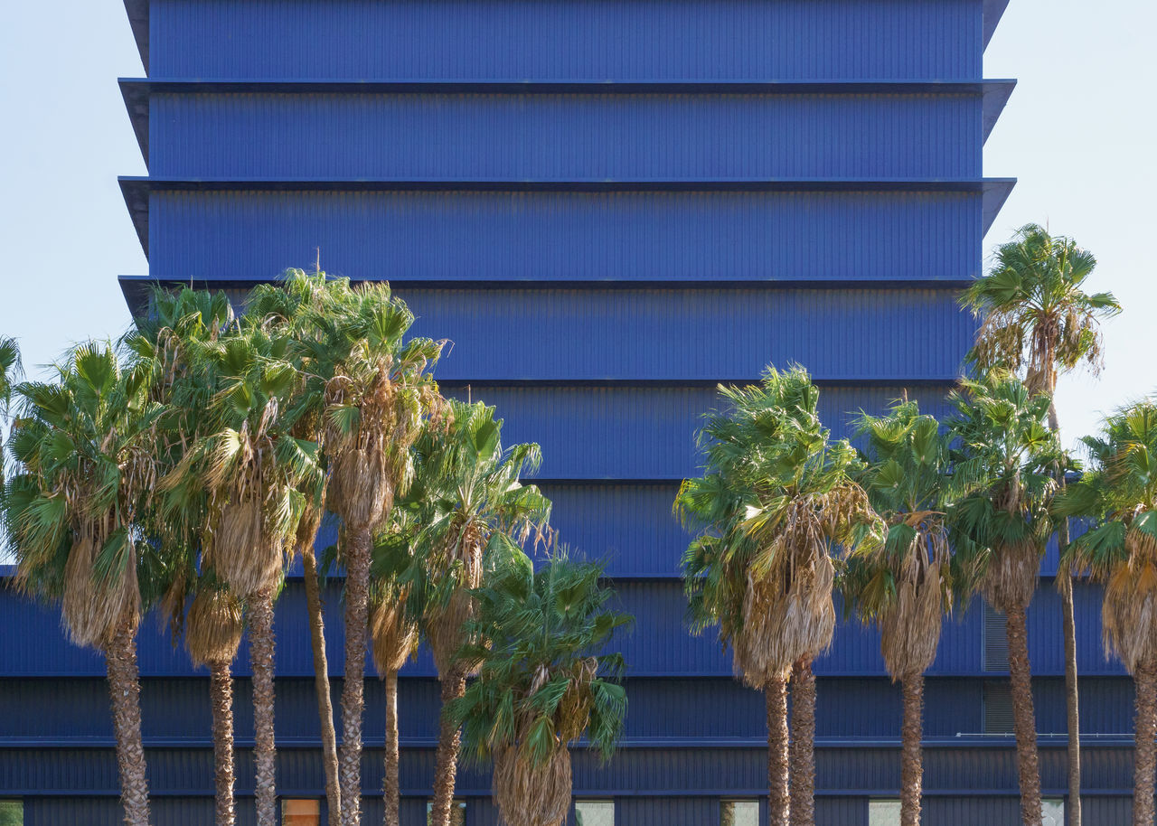 TREES AND PLANTS BY BUILDING AGAINST SKY