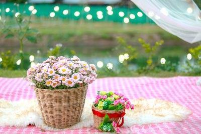 Close-up of potted plants in basket on table