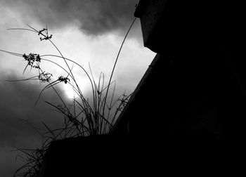 Low angle view of silhouette trees against cloudy sky