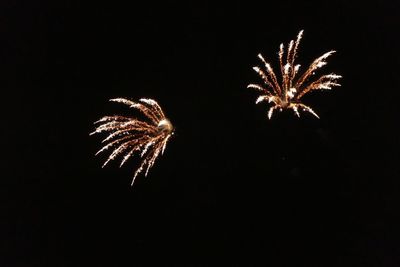 Low angle view of firework display at night