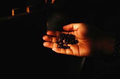 Close-up of hand holding fruit